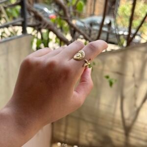 Ring_27