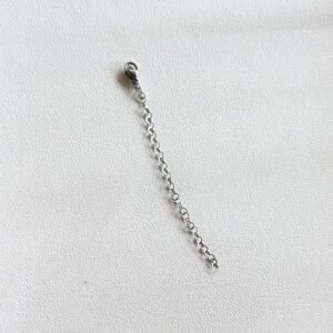 Extinction_Silver