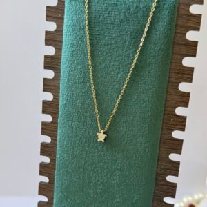 turtle_necklace